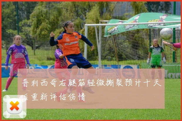 普利西奇右腿筋轻微撕裂预计十天后重新评估伤情
