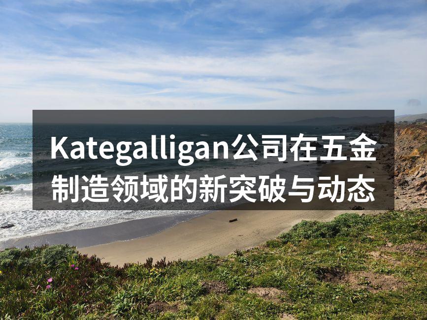 Kategalligan公司在五金制造领域的新突破与动态