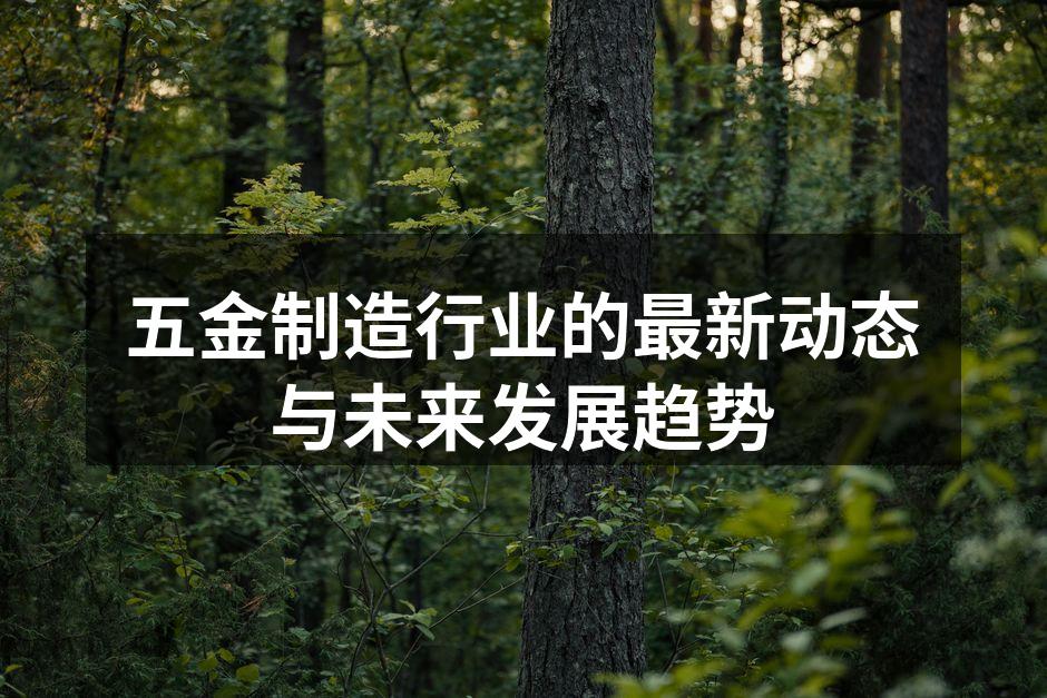 五金制造行业的最新动态与未来发展趋势