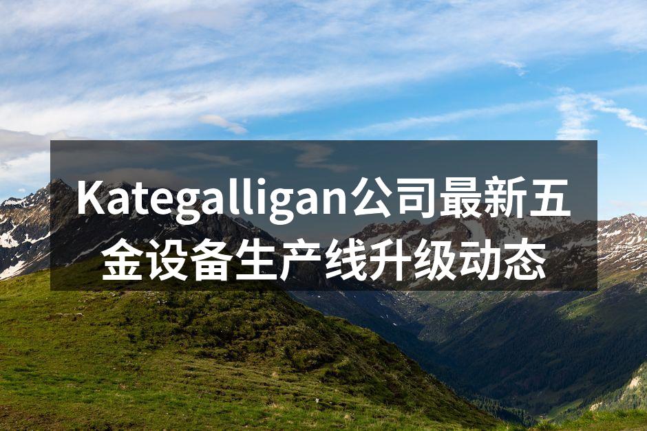 Kategalligan公司最新五金设备生产线升级动态