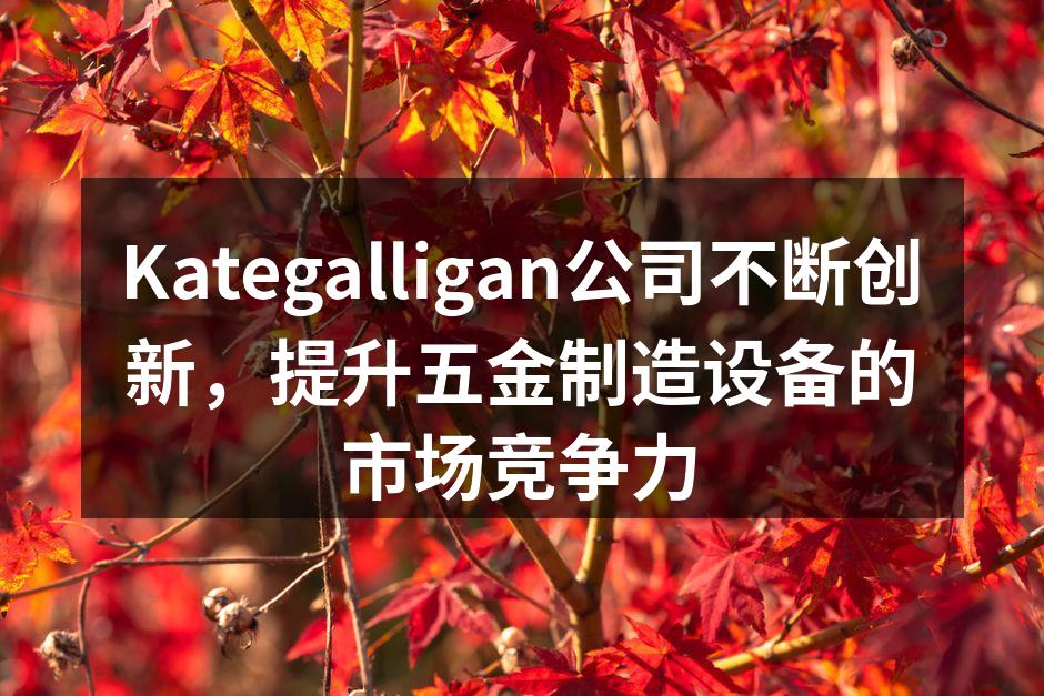 Kategalligan公司不断创新,提升五金制造设备的市场竞争力